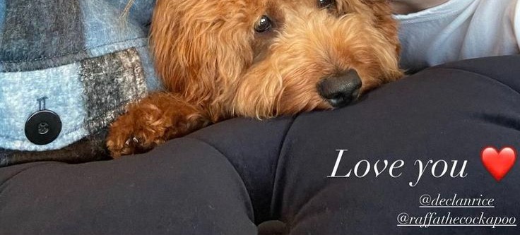 Tap the post to see Rice response to Spurs fans