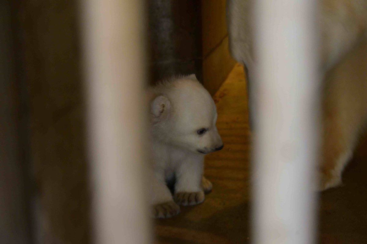 TheBlockFather tweet media