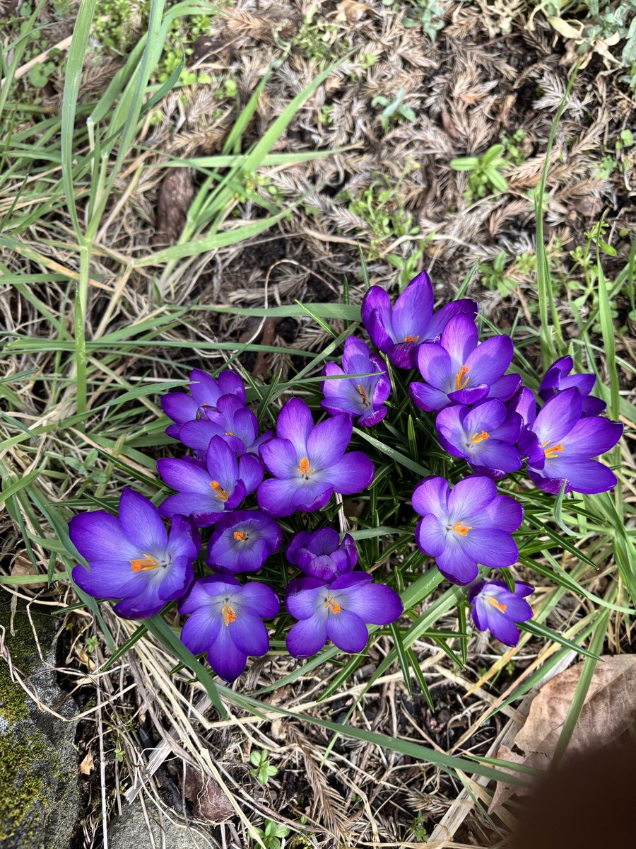 Pat Lethbridge tweet media