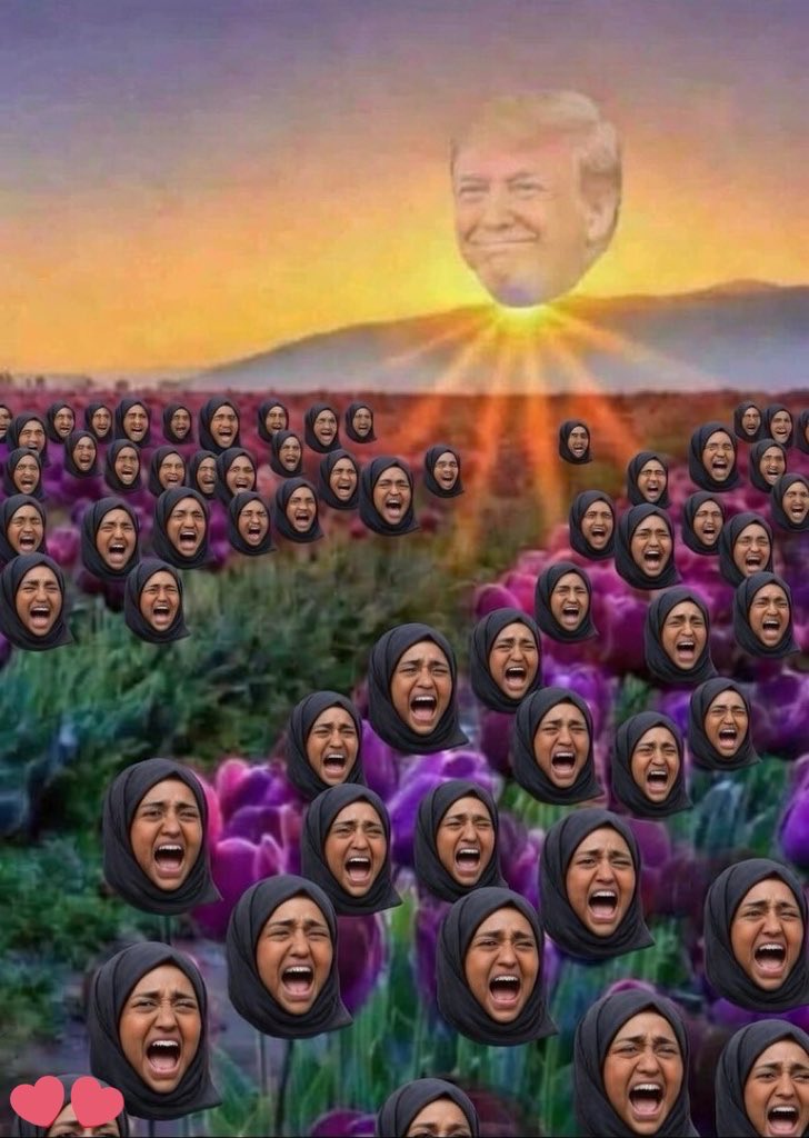 BDowd8458's tweet image. 