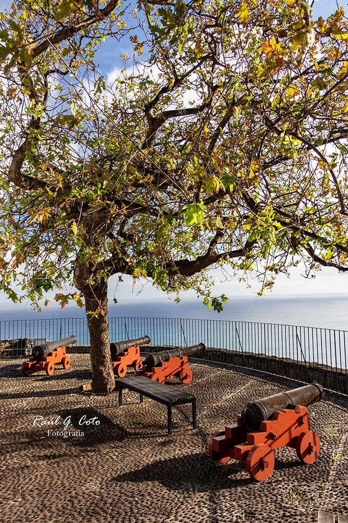 RaulGCoto's tweet image. Faial (Madeira) #Faial #FaialMadeira #Madeira #VisitMadeira #MadeiraIsland #IlhaDaMadeira #MadeiraPortugal #Portugal #MadeiraLovers #ILoveMadeira #MadeiraNoWordsNeeded #NaturezaMadeira #TravelMadeira #AtlanticIsland #MadeiraNature #SantanaMadeira #FaialSantana #ExploraMadeira
