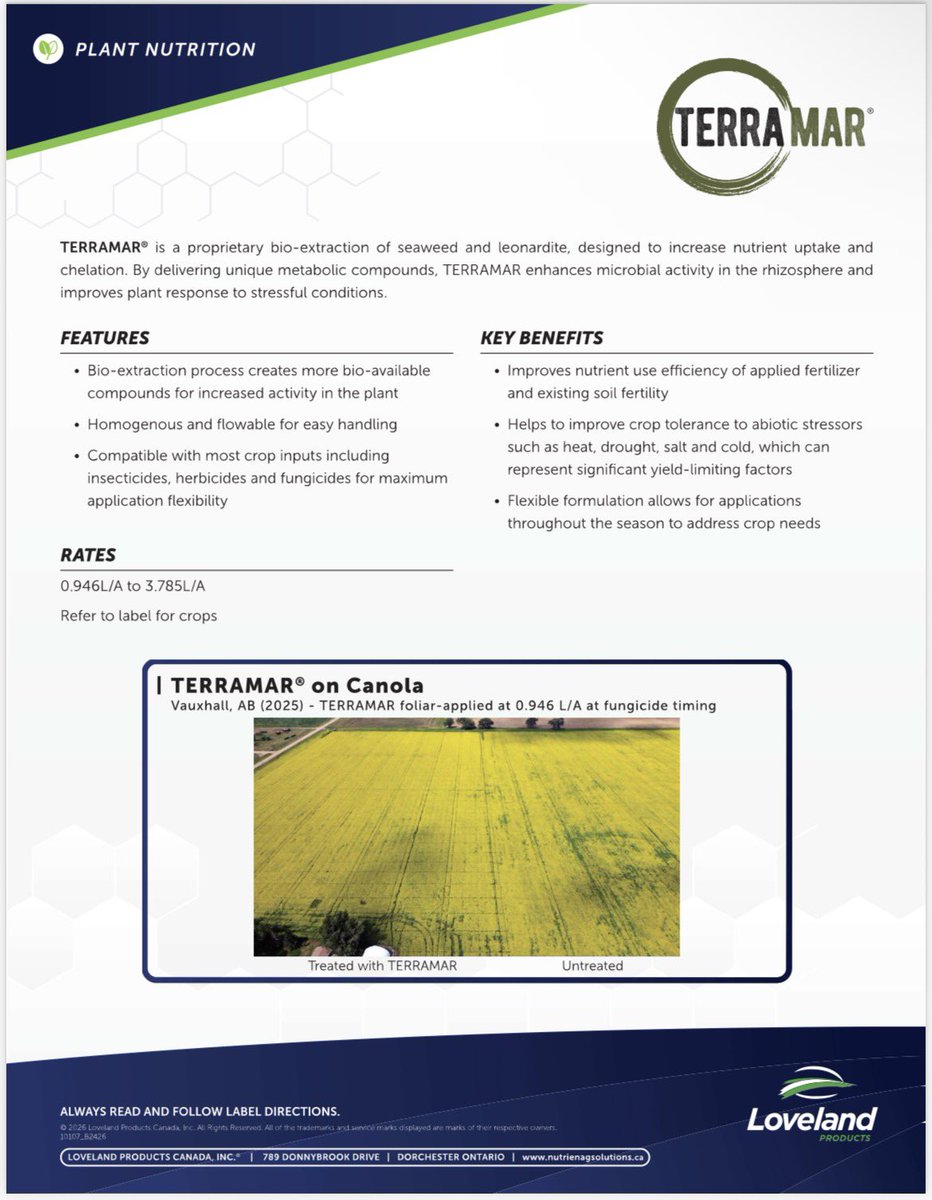 Adam Voss tweet media