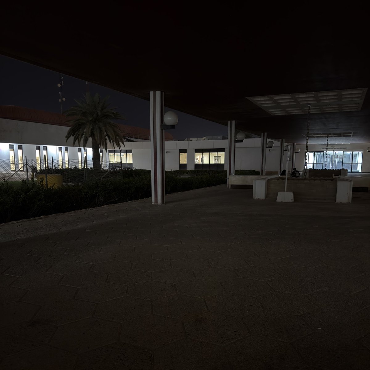 رولا tweet media