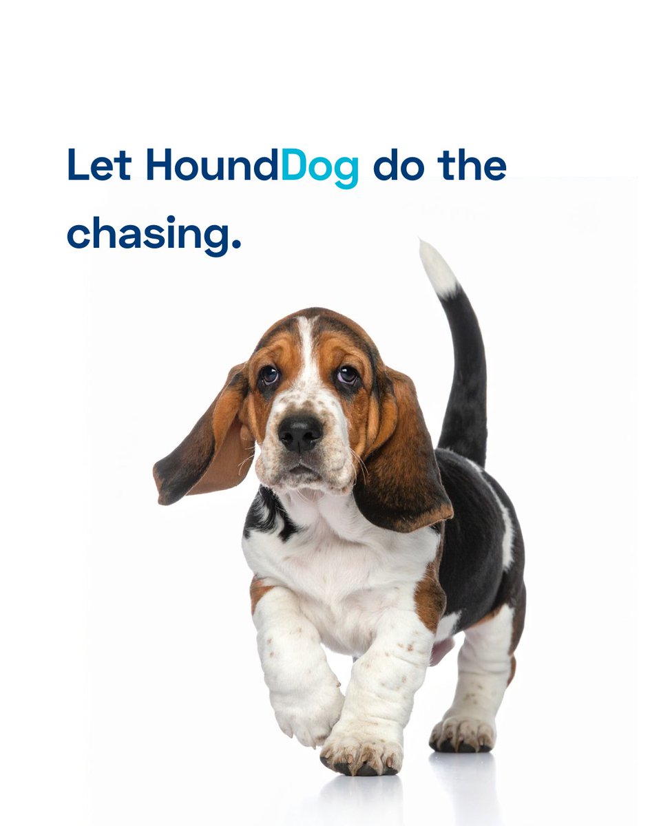 gethounddog's tweet photo. Missing docs? Expired COIs? Endless follow-ups?

HoundDog handles the chasing so you don’t have to. 🐶
Vendor compliance—tracked.

#ComplianceSimplified #ConstructionLife #InsuranceTracking #BuildSmarter #HoundDog https://t.co/7HPp6nM4Xo