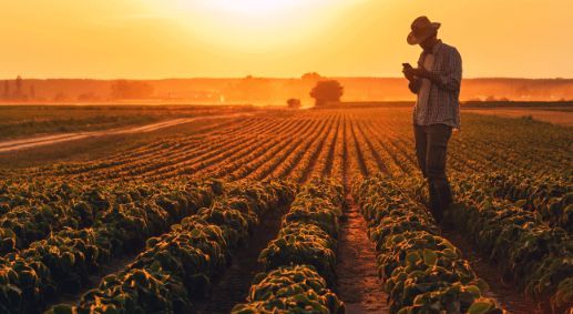 Labroots Plants & Animals tweet media