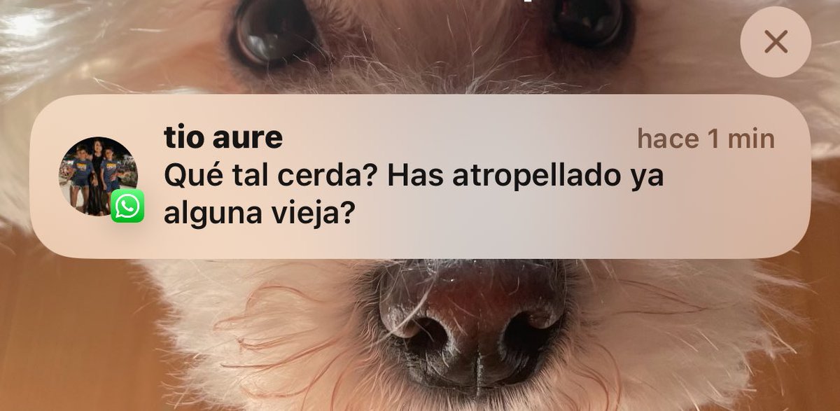 5bdItzi's tweet photo. Nadie me anima tanto https://t.co/wHfaXtwEJd