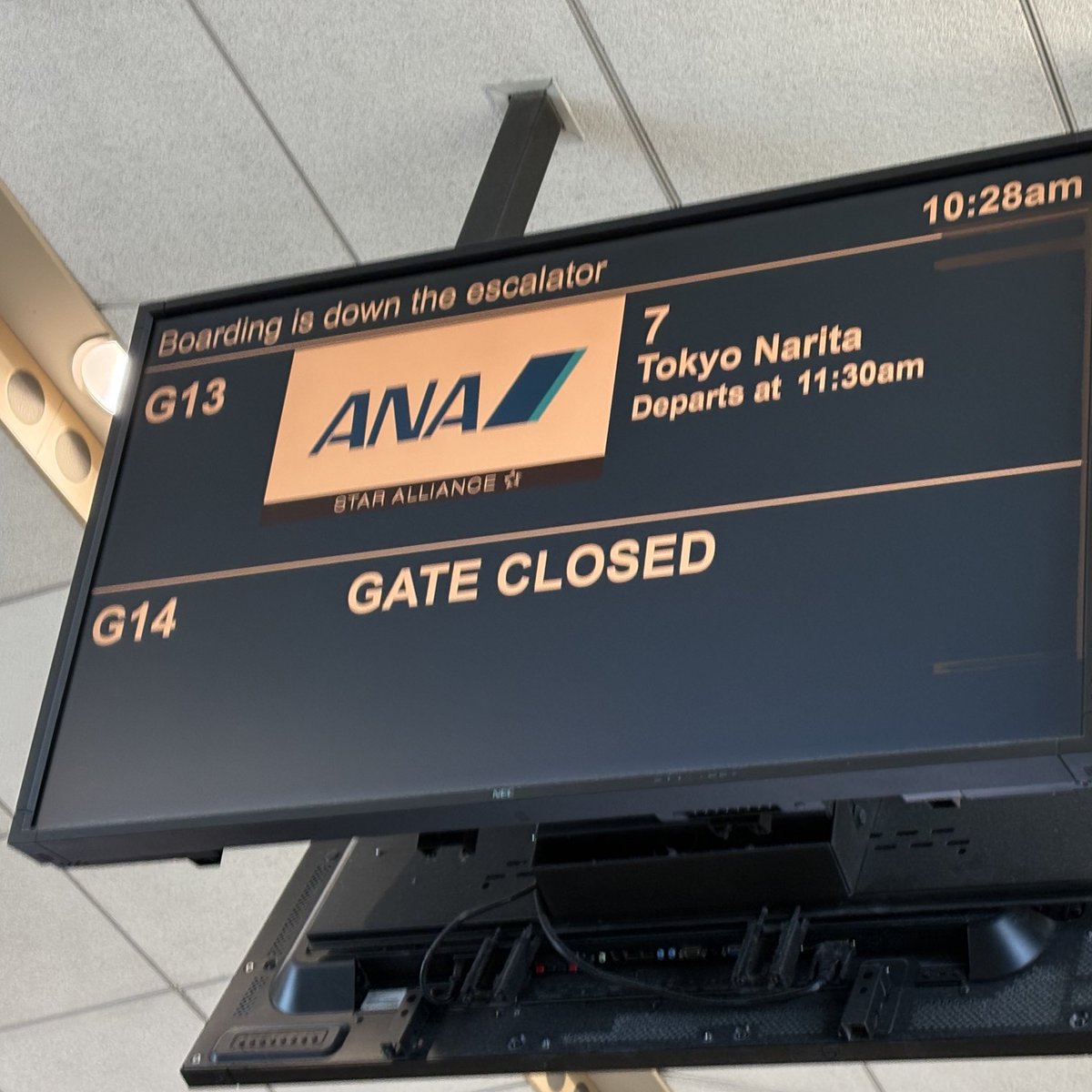 つるぽん (@486chan) / Posts / X