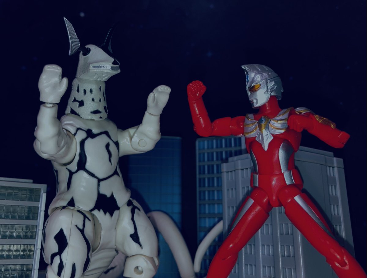 おはようございます！