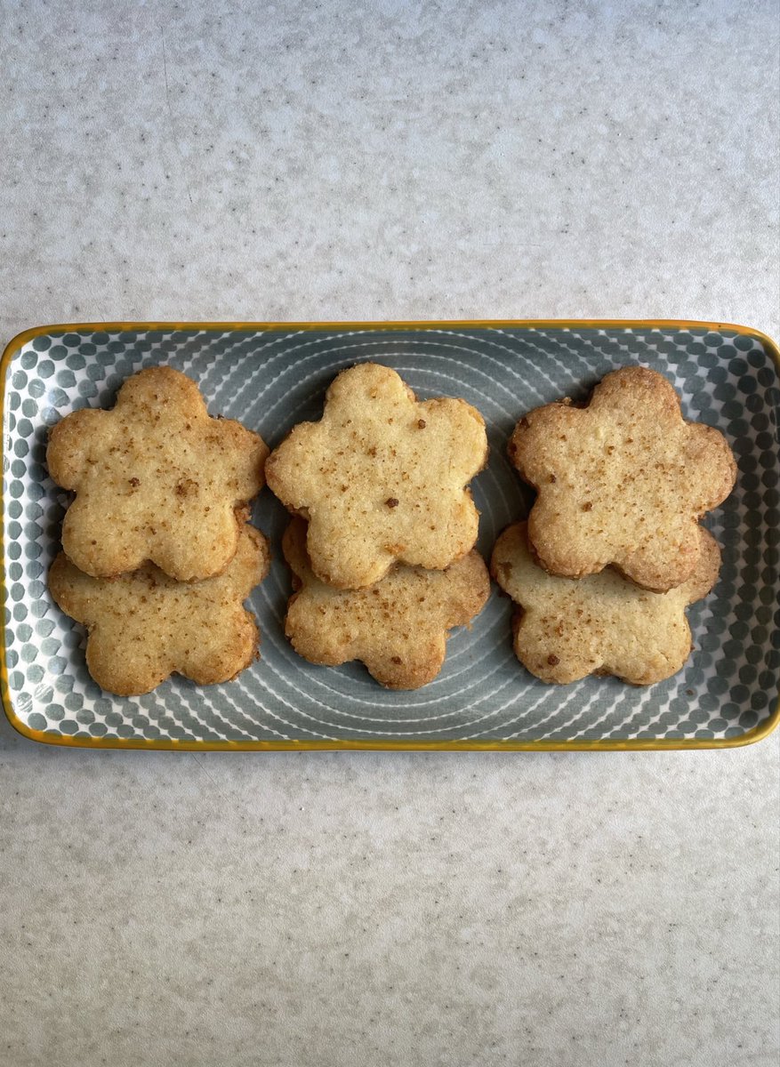 پردیس tweet media