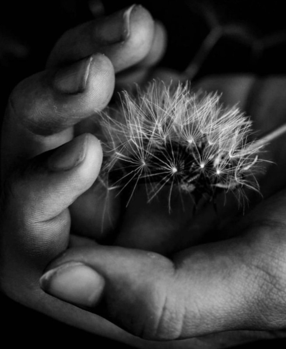 آلُِآبَدِشُ tweet media