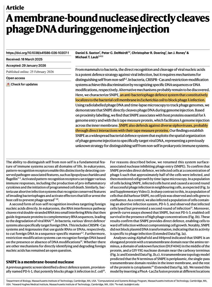 Niko McCarty. tweet media