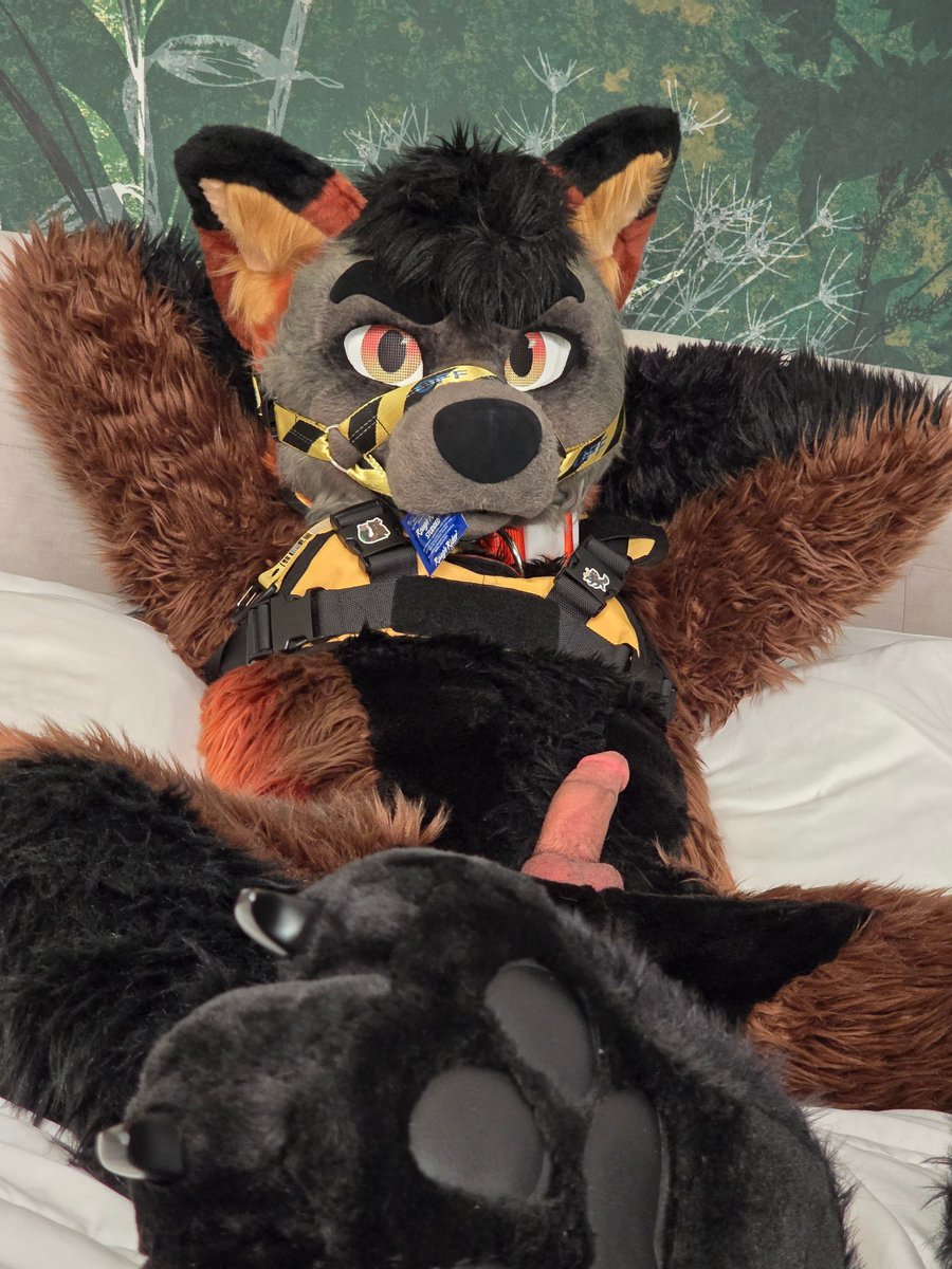 Tyler 🦊 🔜 Your MFF Bed tweet media