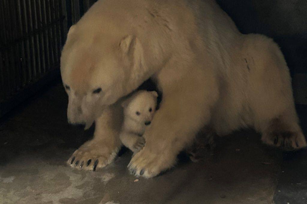 TheBlockFather tweet media