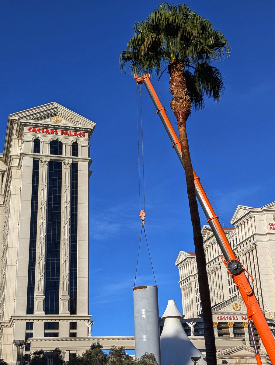 Las Vegas Locally 🌴 tweet media