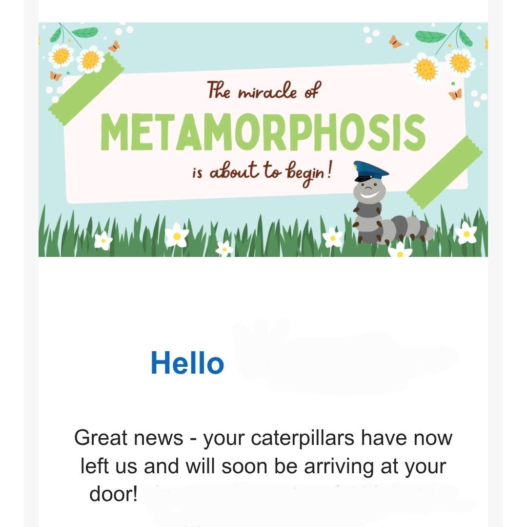 HeatherPrimarySchool tweet media