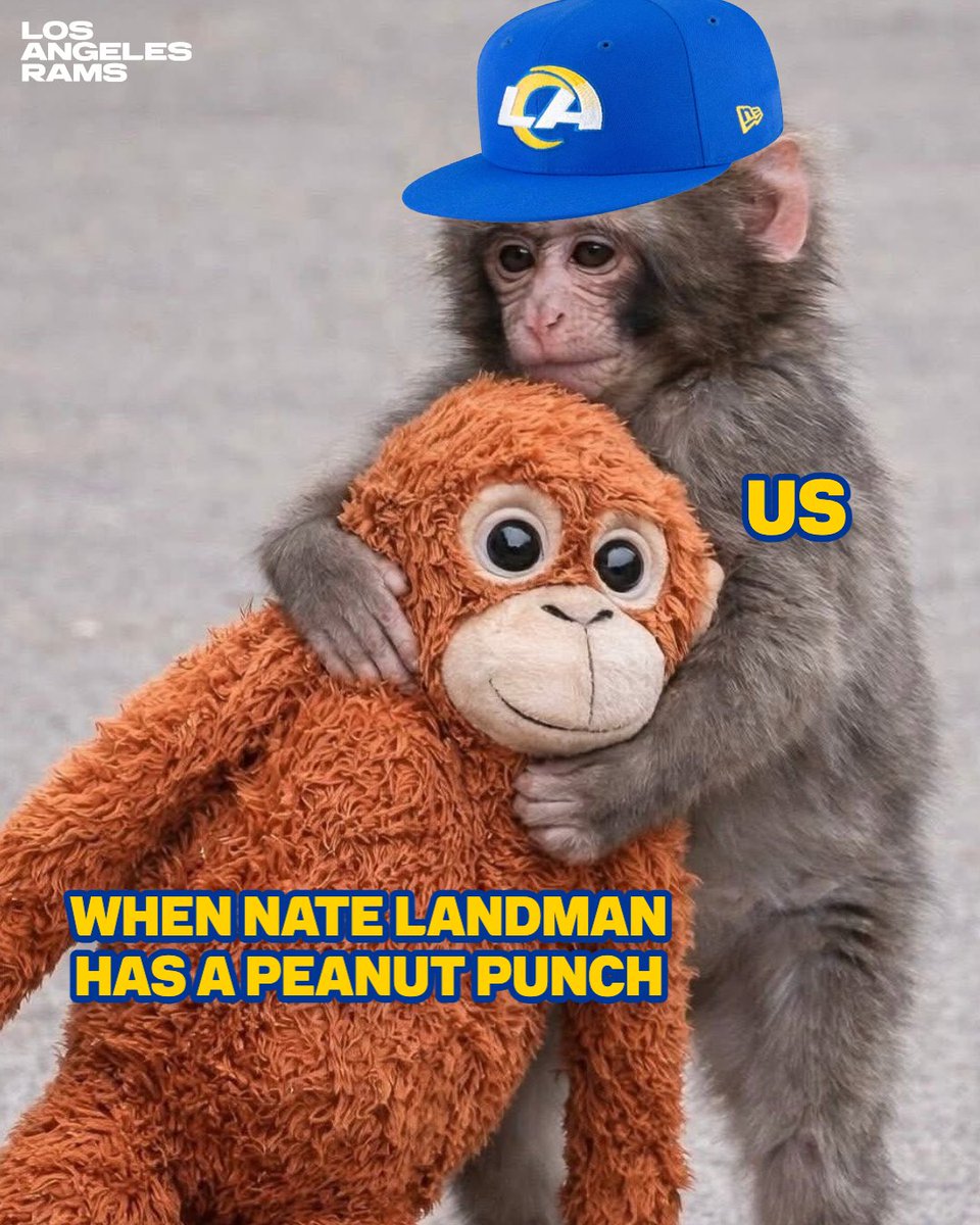 RamsNFL's tweet photo. gotta invite punch to a rams game https://t.co/OgwM1BCpmd