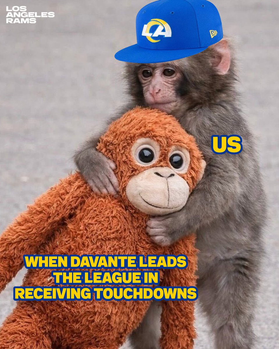 RamsNFL's tweet photo. gotta invite punch to a rams game https://t.co/OgwM1BCpmd