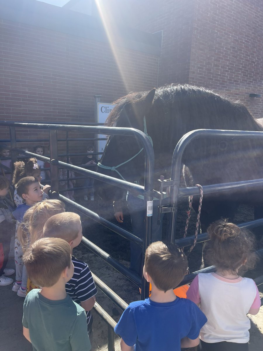 CP Preschool tweet media