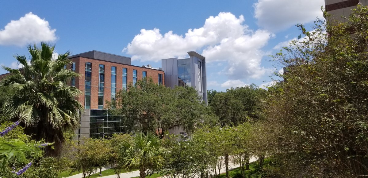 UF HSC Libraries tweet media