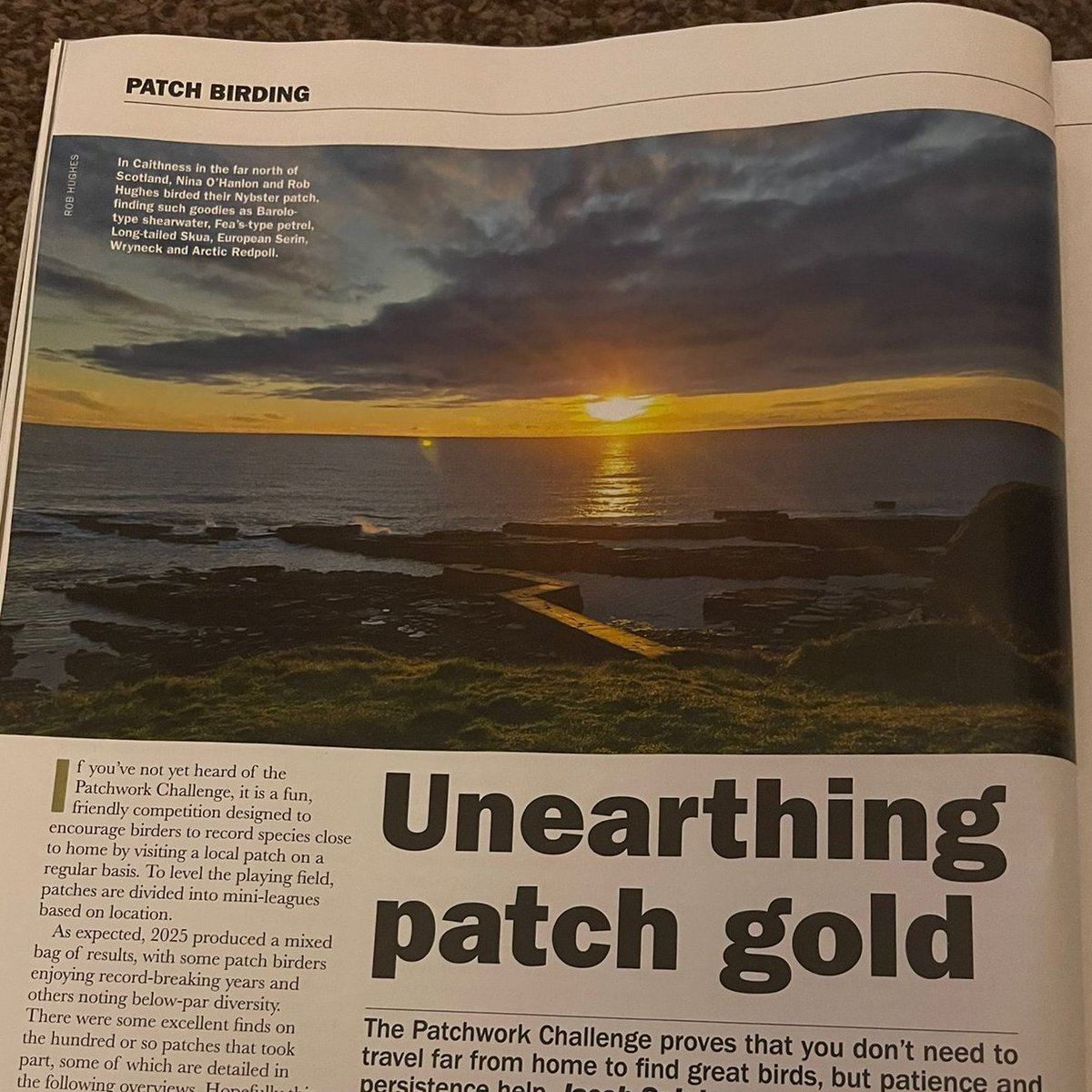 Patchwork Challenge tweet media