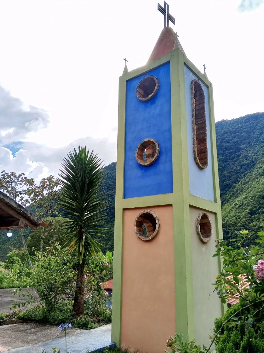 Venezuelensis Andium Venustas Aesthetics tweet media