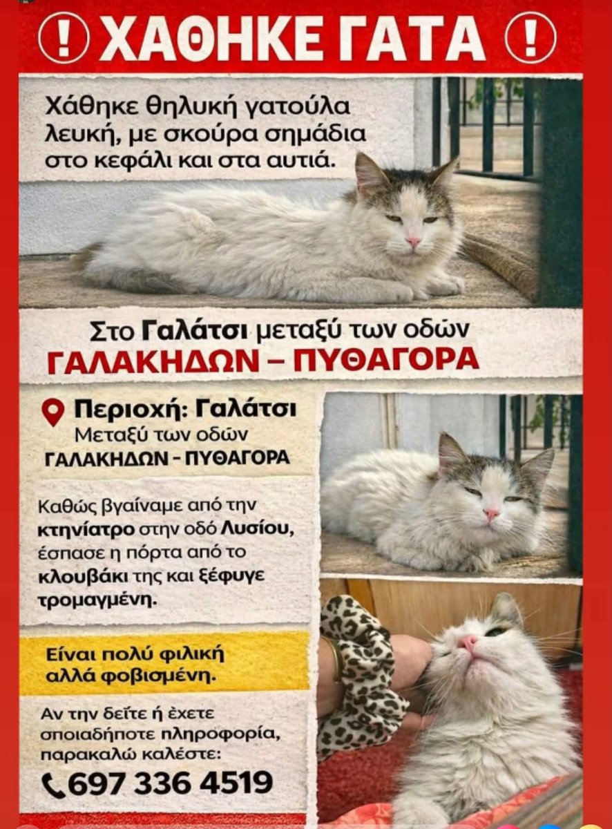 elinampounia's tweet photo. Χάθηκε στο Γαλάτσι ‼️ https://t.co/8pRpuwNC24