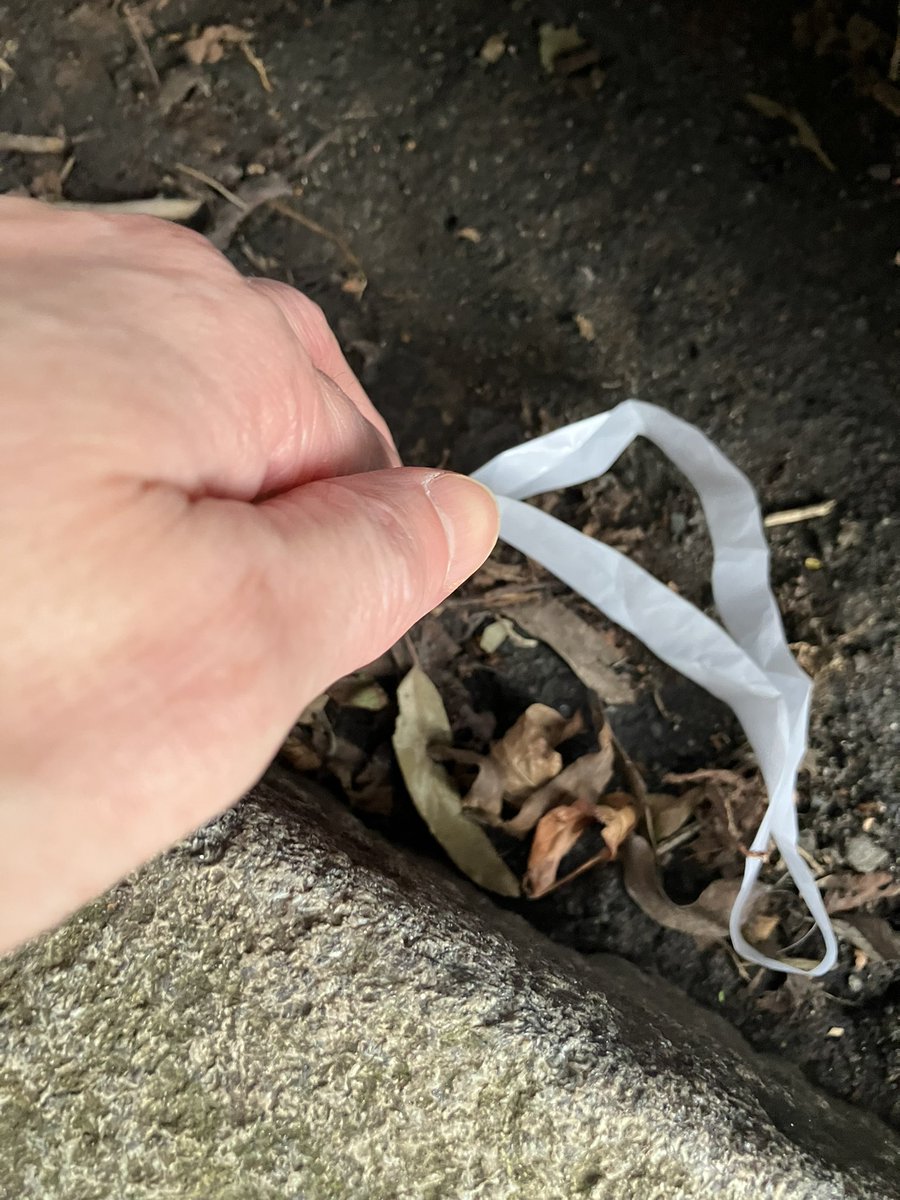 @_pickuplitter tweet media