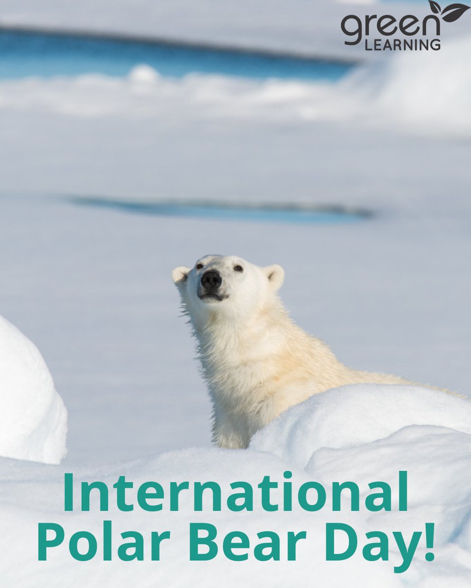 GreenLearning tweet media