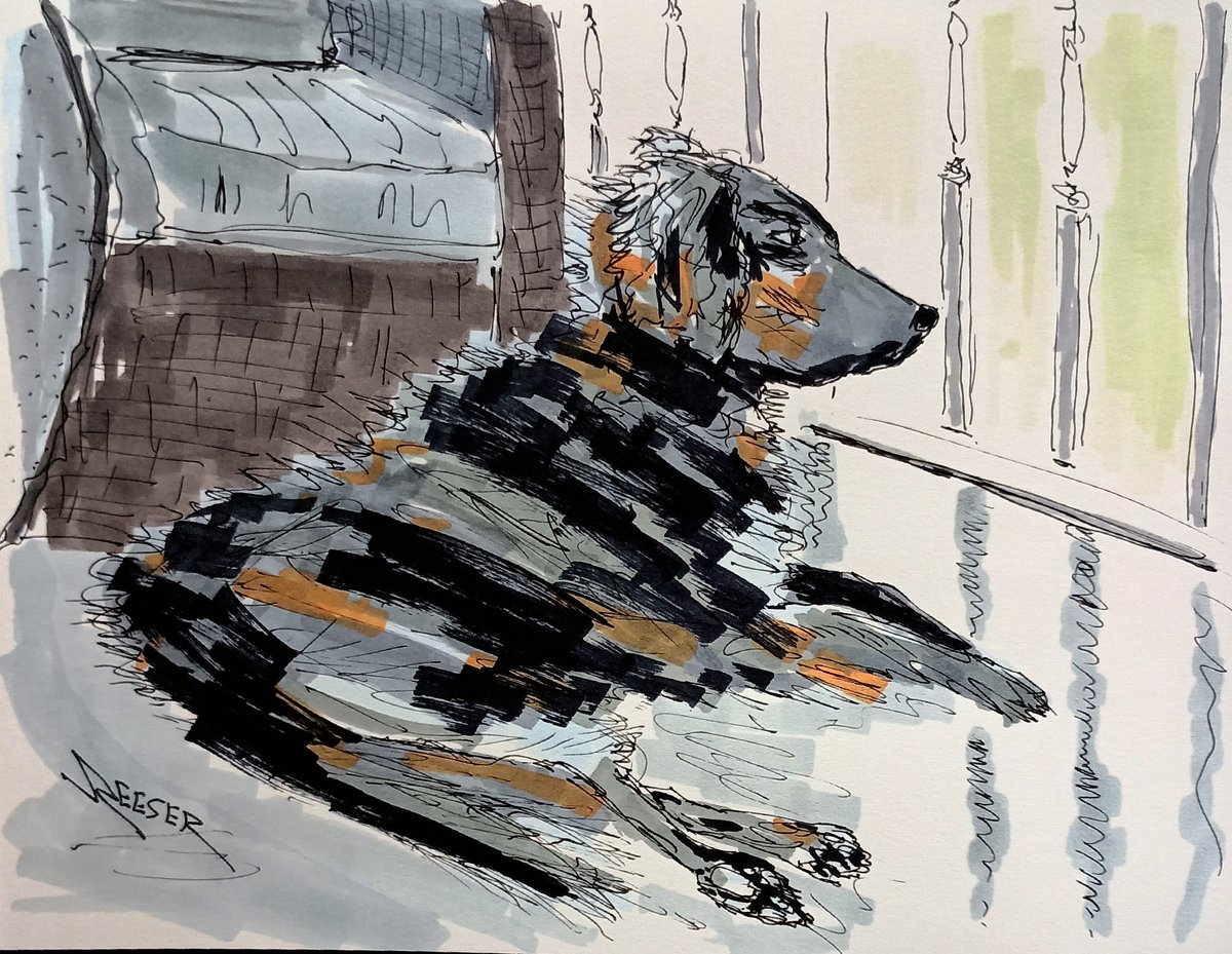 It's that kind of a lazy Friday. My girl Nita loves to sit quietly while staring at the world, hoping a squirrel foolishly gets too brave. Happy weekend , everyone!