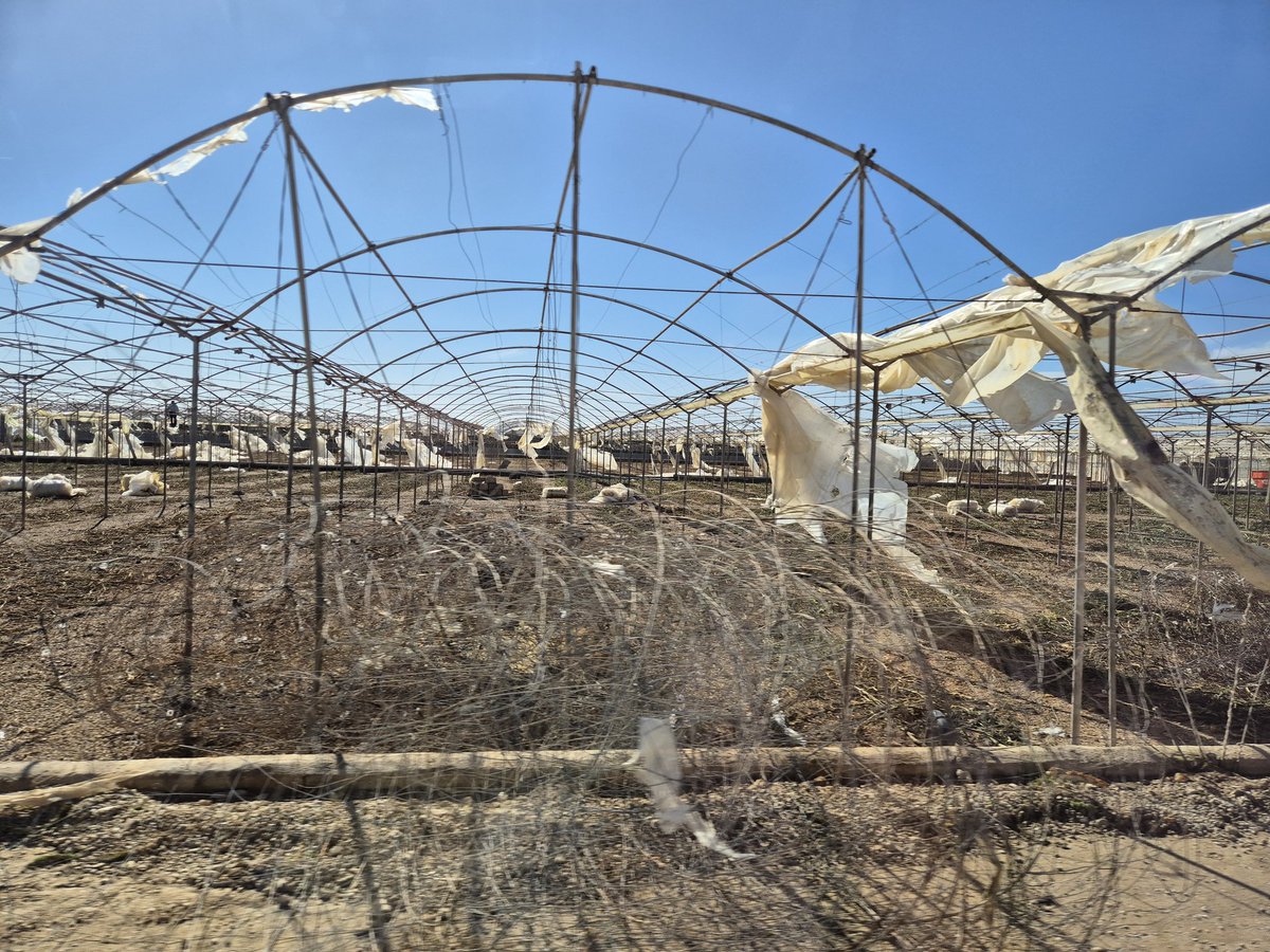 Zulke beelden kwamen afgelopen tijd veel in media met het verhaal dat de kassen in Spanje kapot gewaaid waren en gewassen hebben vernietigd. Horrorverhalen met lege schappen tot gevolg.
Na ons bezoek aan Spanje kan ik zeggen dat dit niet zo is.
Wat is er aan de hand?
>>>