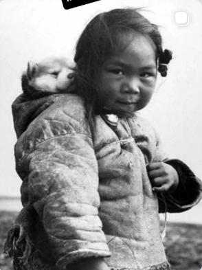 NANOOK EL ÚLTIMO ESQUIMAL tweet media