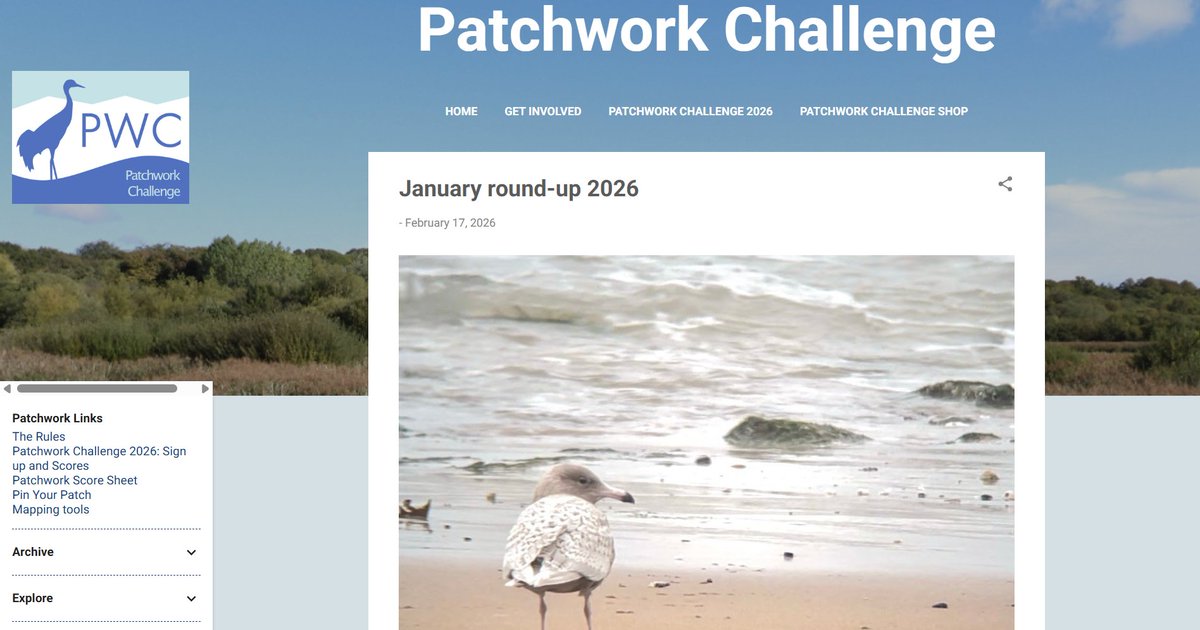 Patchwork Challenge tweet media