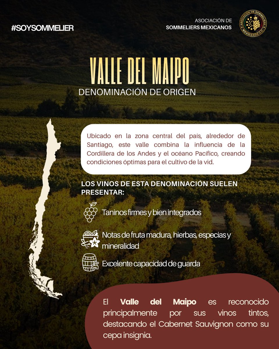 ASM  A.C. tweet media