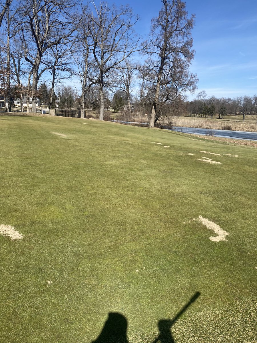 brewbaker23's tweet photo. Was able to take advantage of a beautiful day and do a little hand top dressing on 4 green https://t.co/sZjbF7R42K