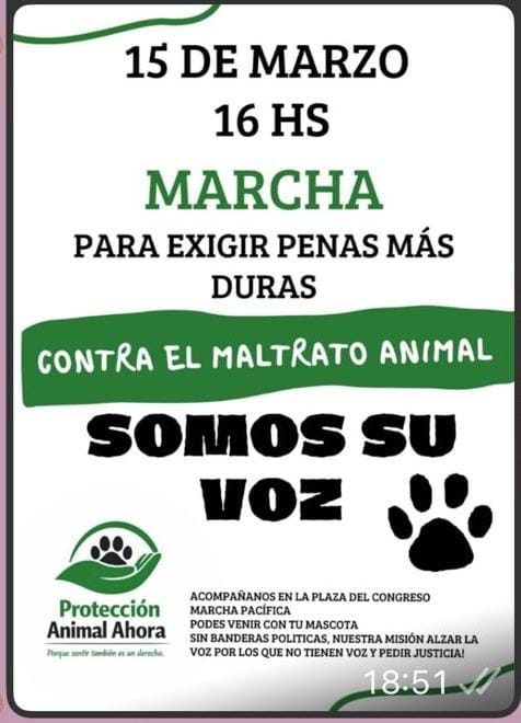 Sandra Constantopulo (@sconstantopulos) on Twitter photo 