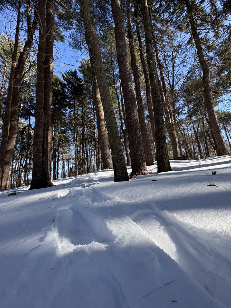 Clarke PE & Health tweet media