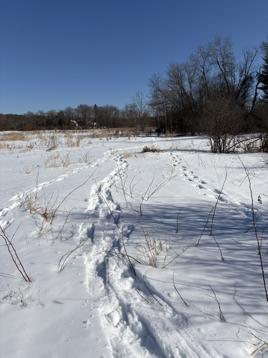 Clarke PE & Health tweet media