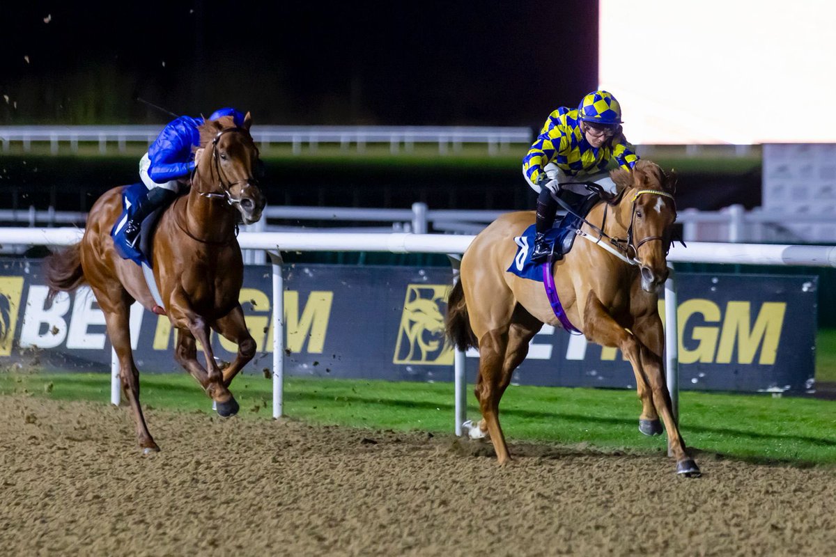 AvenueBloodstock tweet media