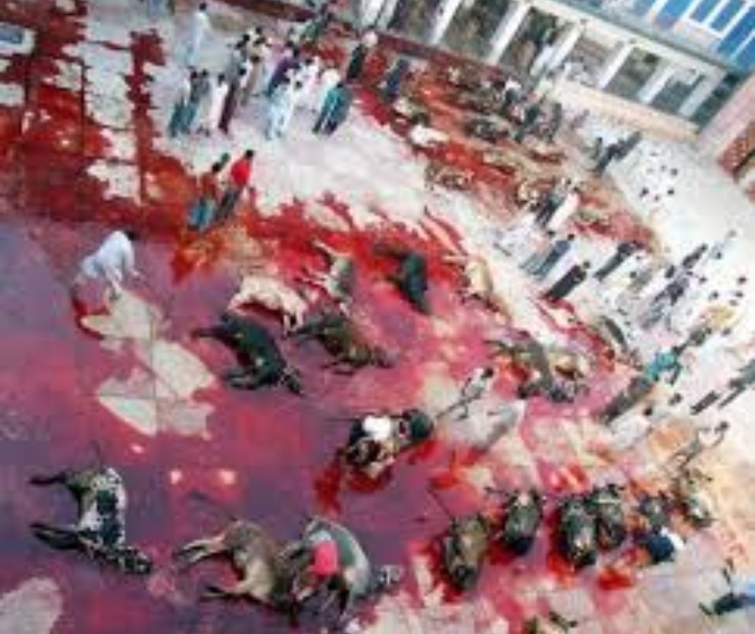 Rey de Reyes... tweet media