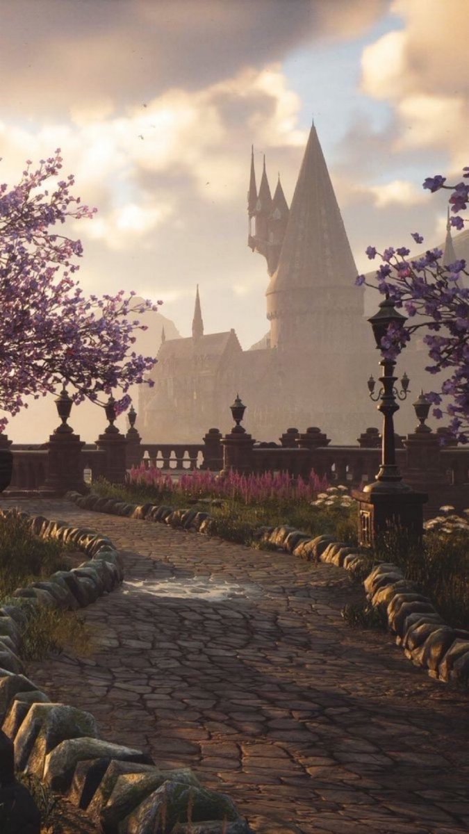 Hogwarts Legacy is stunning 🎮