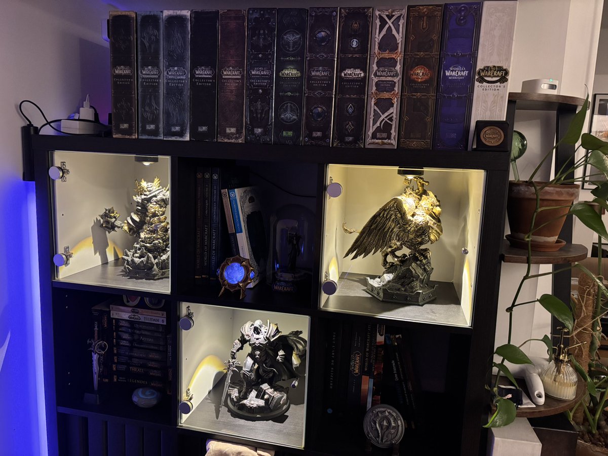 𝐊𝐚𝐢𝐥𝐲𝐧𝐧 tweet media