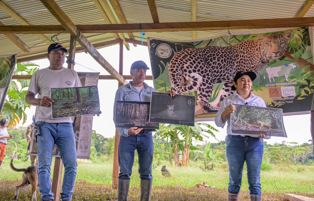 UNDP Planet tweet media