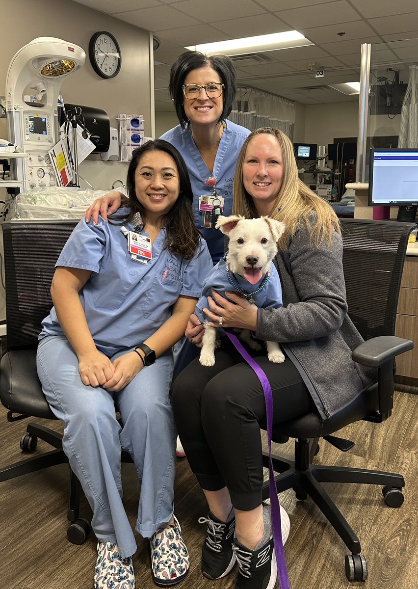 DekeHenriFurry's tweet photo. Today on my rounds at Summerlin Hospital I visited coworkers in the Birthplace and Emergency Room, then finished my shift relaxing in the Meditation Room!
Have a great weekend everyone!
~ Deke🐾
#TherapyDog
#PawYouNeedIsLove
#BarkForACause https://t.co/zgRXY2sXcp