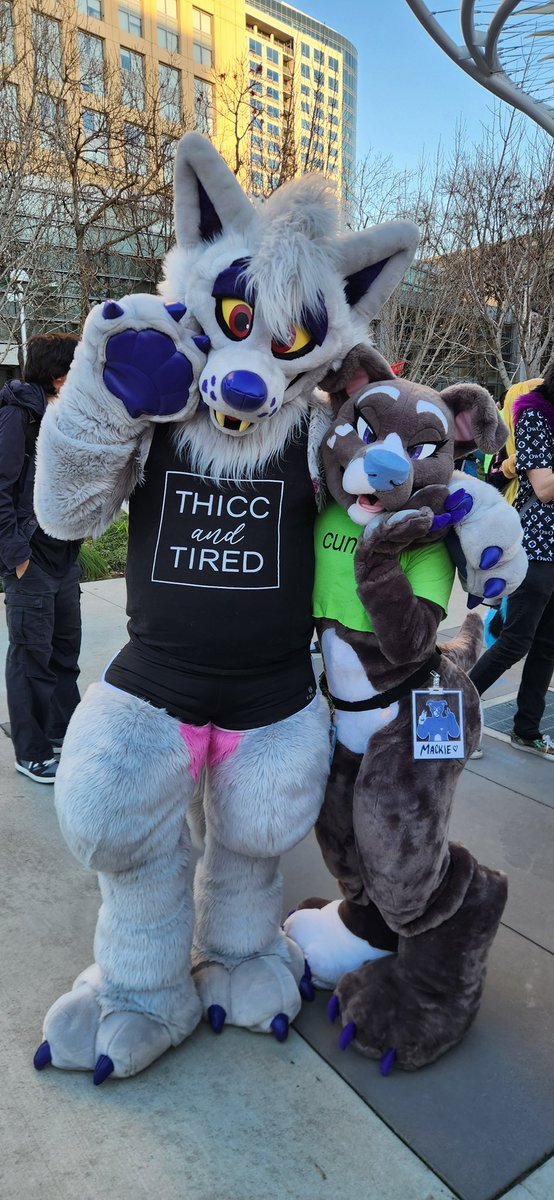 Mackie 🍃🔜 LVFC tweet media