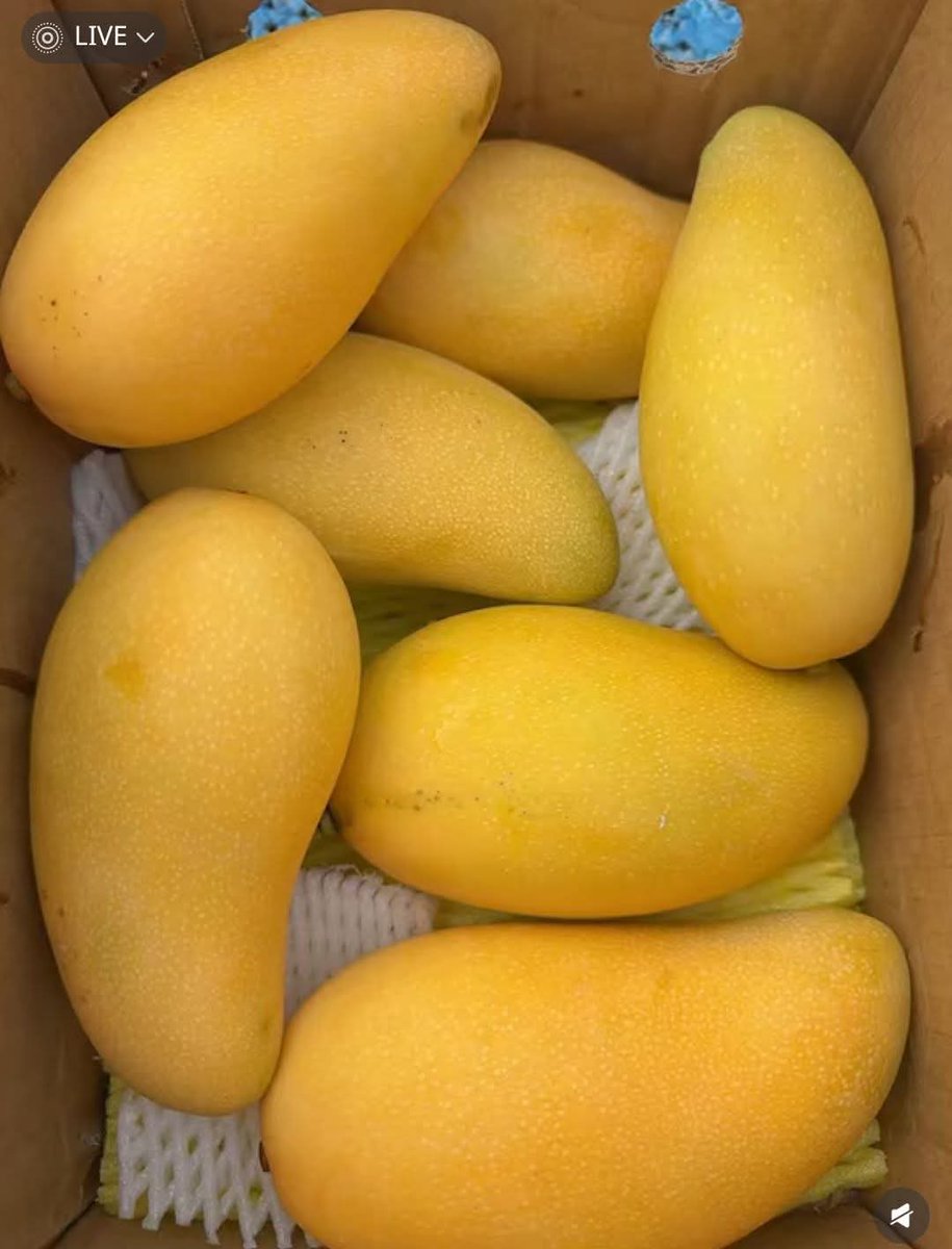Agricultinsider's tweet image. Bast premium quality Mango 🥭👑👑
#margarita #tequila #drink #relaxation
#maggie
