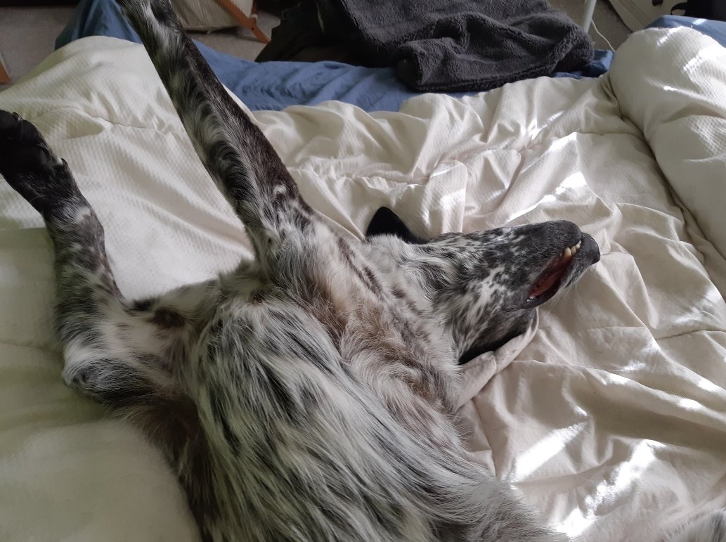 Pants 'piss colour' edition tweet media