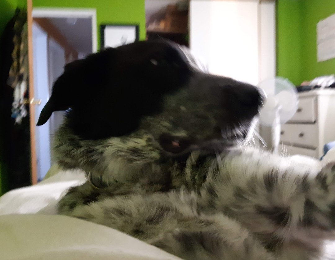 Pants 'piss colour' edition tweet media