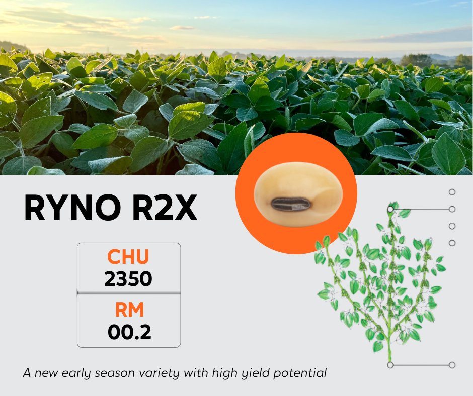 Prograin tweet media