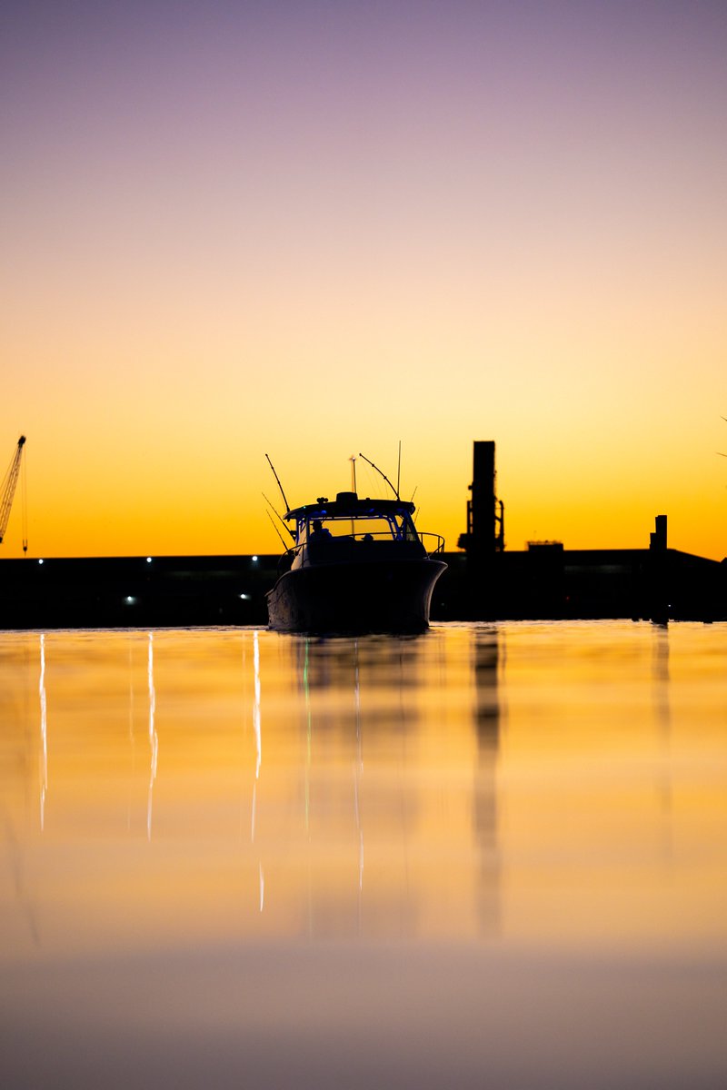 Grady-White Boats tweet media