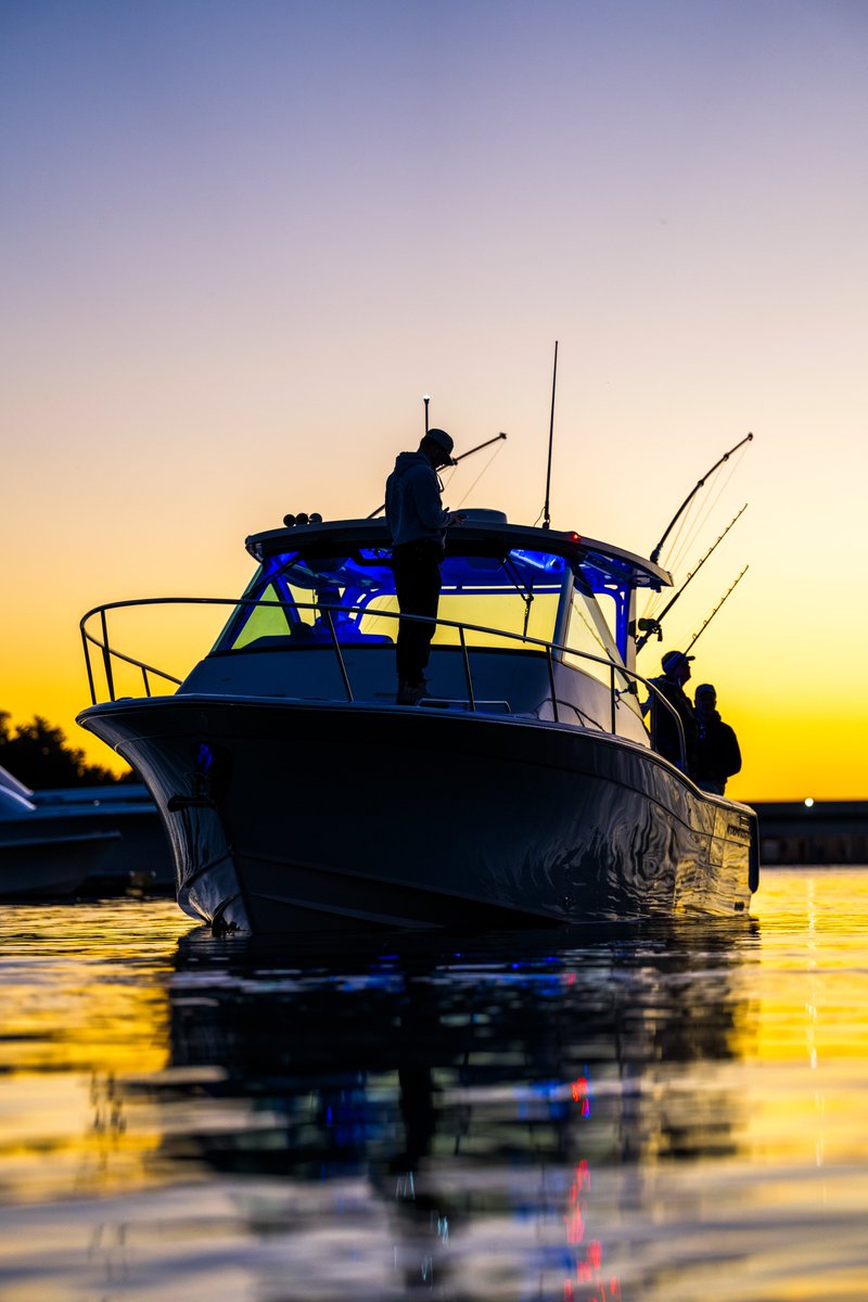 Grady-White Boats tweet media